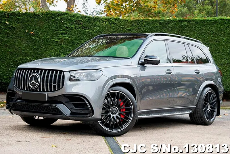 2021 Mercedes Benz / GLS Class Stock No. 130813