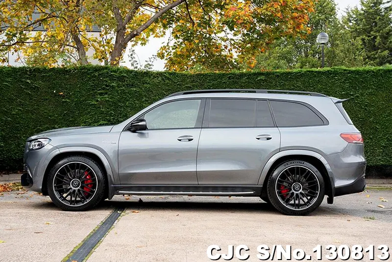 2021 Mercedes Benz / GLS Class Stock No. 130813