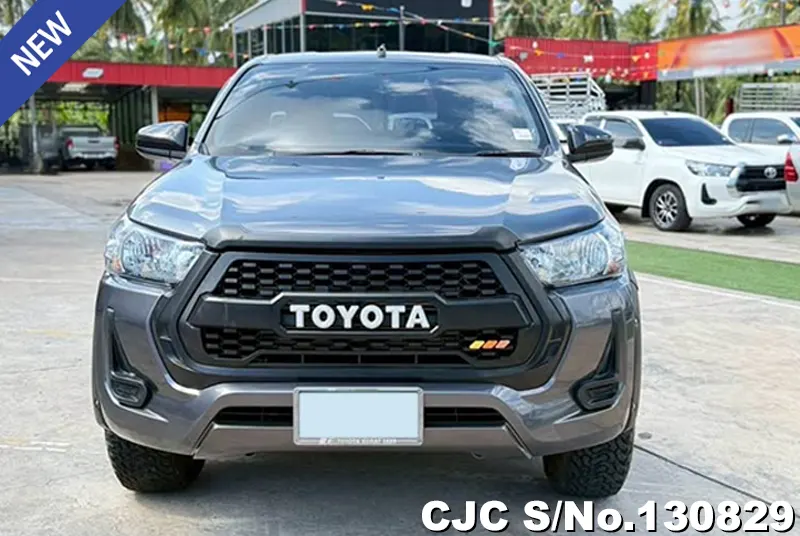 Toyota Hilux in Gray for Sale Image 4
