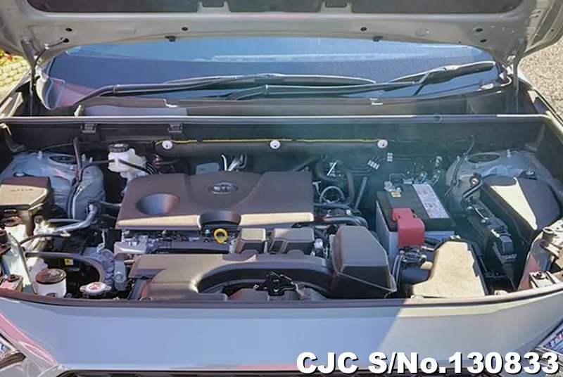 2025 Toyota / Rav4 Stock No. 130833