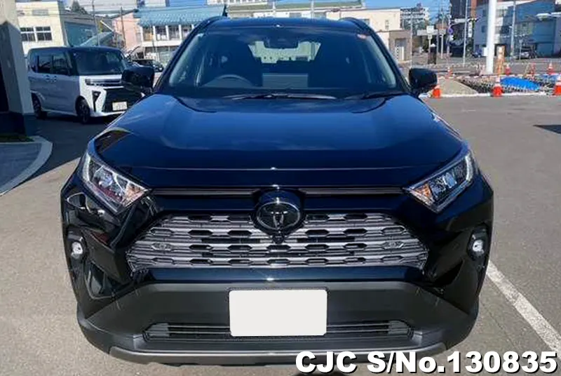 2025 Toyota / Rav4 Stock No. 130835