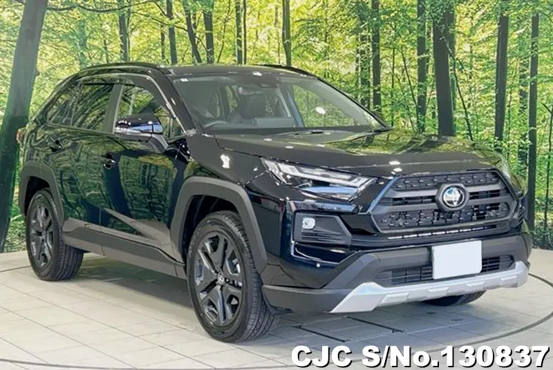 2025 Toyota / Rav4 Stock No. 130837