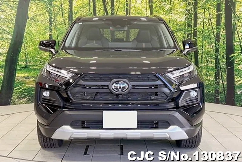 2025 Toyota / Rav4 Stock No. 130837