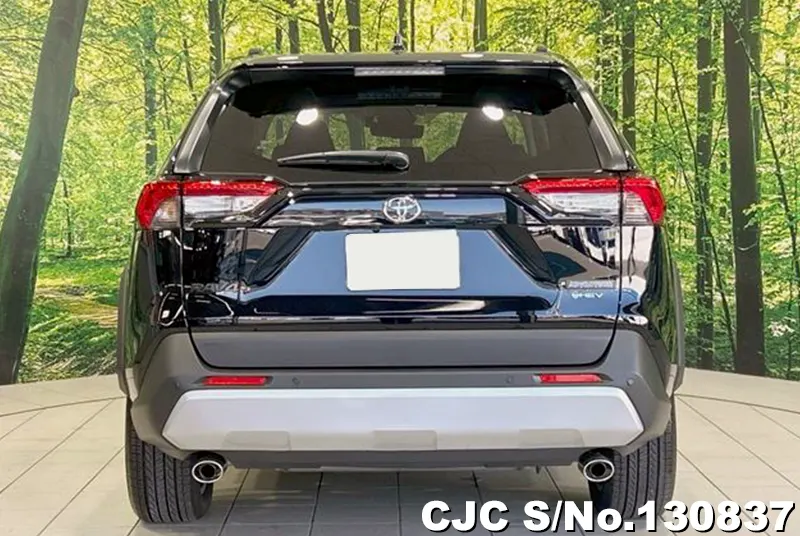 2025 Toyota / Rav4 Stock No. 130837