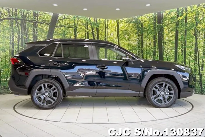 2025 Toyota / Rav4 Stock No. 130837