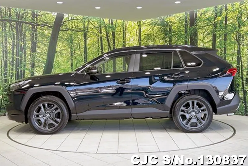 2025 Toyota / Rav4 Stock No. 130837