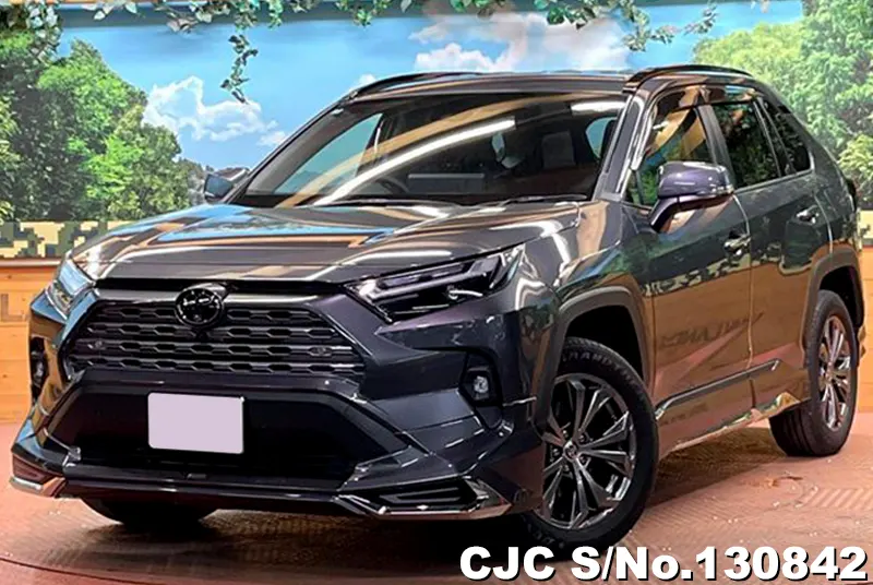 2025 Toyota / Rav4 Stock No. 130842