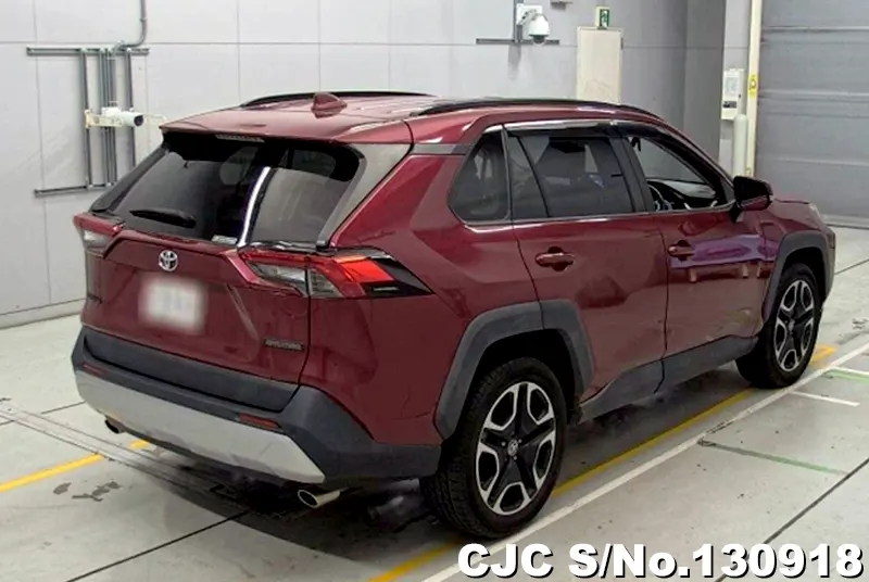 2020 Toyota / Rav4 Stock No. 130918