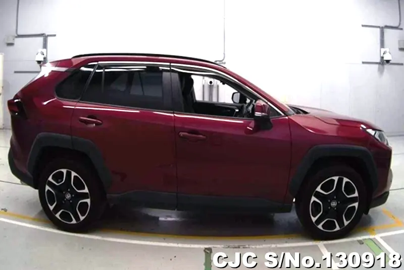 2020 Toyota / Rav4 Stock No. 130918
