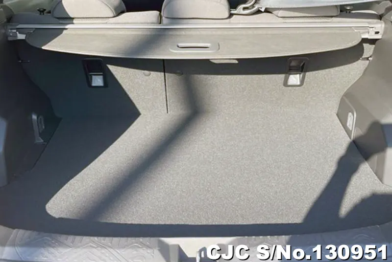 2025 Subaru / Crosstrek Stock No. 130951