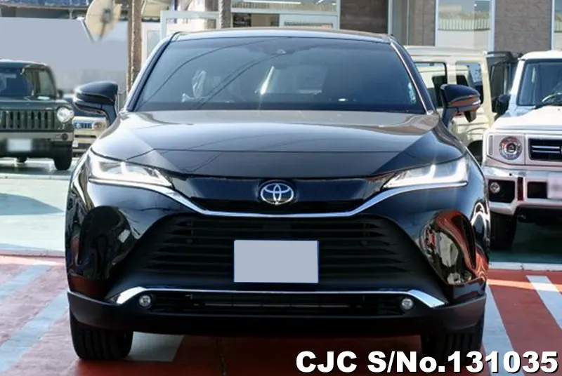 2025 Toyota / Harrier Stock No. 131035