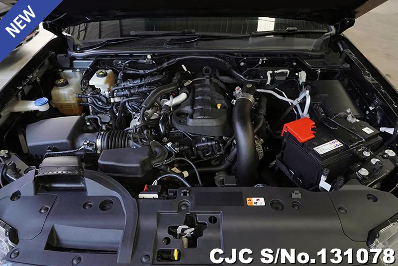 Ford Ranger in Black for Sale Image 14