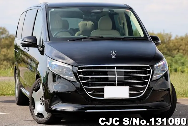 Mercedes Benz / V Class 2024