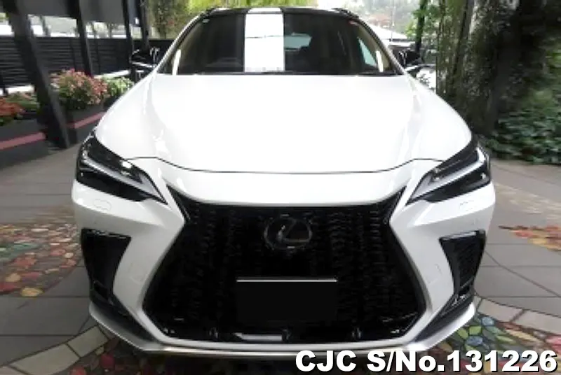 2025 Lexus / NX 350H Stock No. 131226