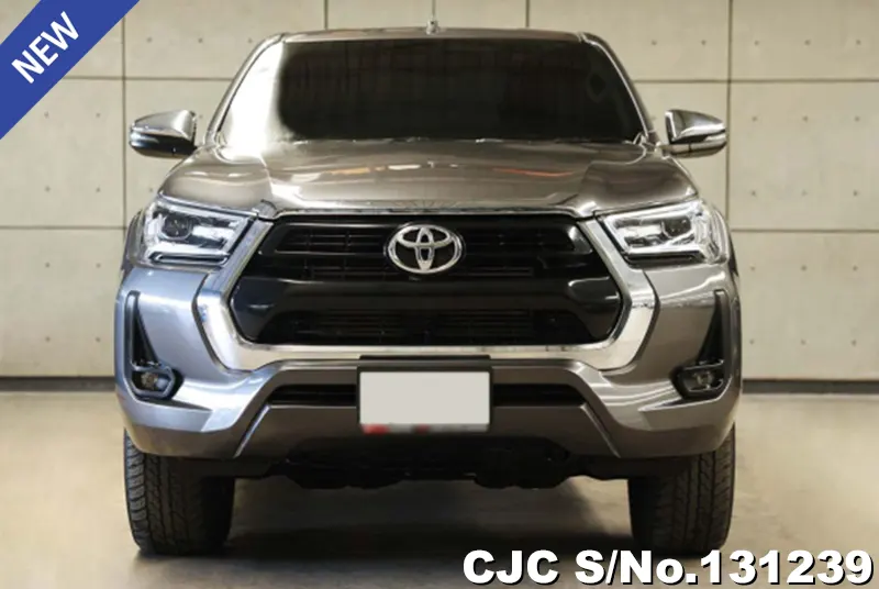 Toyota Hilux in Gray for Sale Image 2