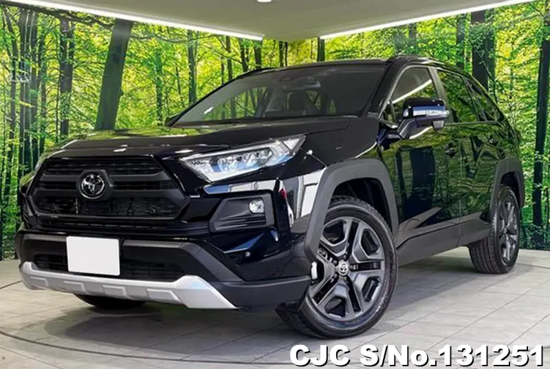 2025 Toyota / Rav4 Stock No. 131251