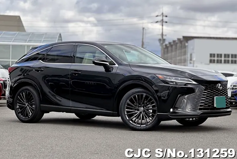 2025 Lexus / RX 350 TALA10