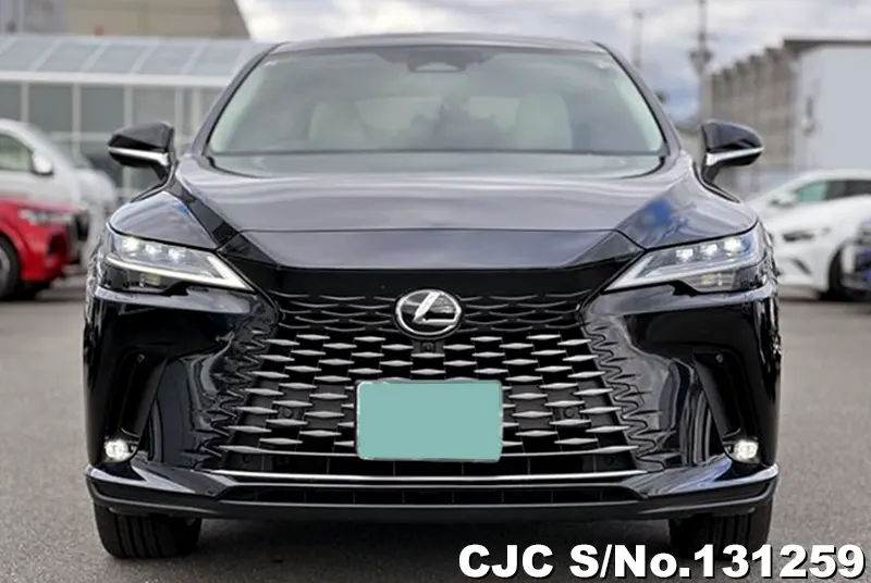 2025 Lexus / RX 350 Stock No. 131259