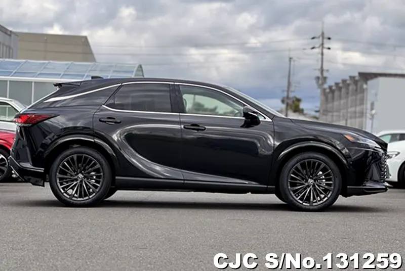 2025 Lexus / RX 350 Stock No. 131259