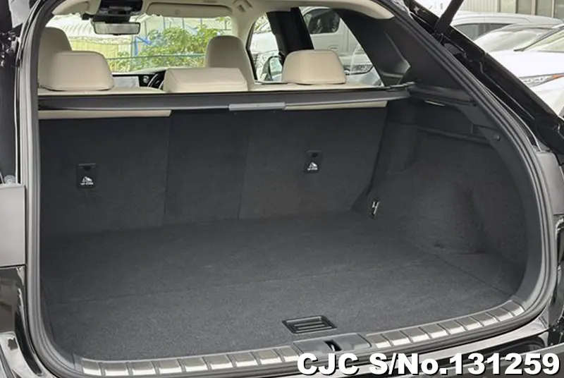 2025 Lexus / RX 350 Stock No. 131259