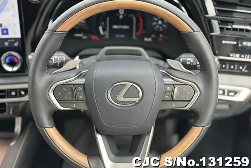 2025 Lexus / RX 350 Stock No. 131259