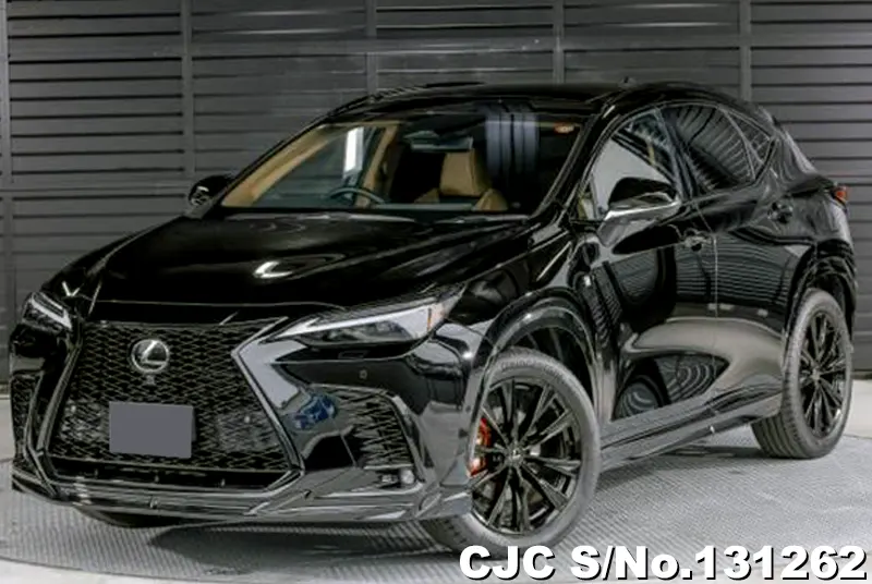 2025 Lexus / NX 350H Stock No. 131262
