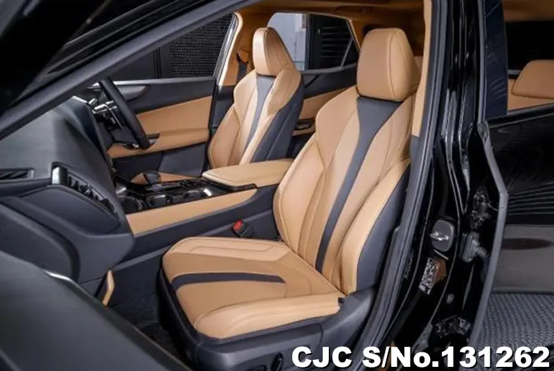 2025 Lexus / NX 350H Stock No. 131262