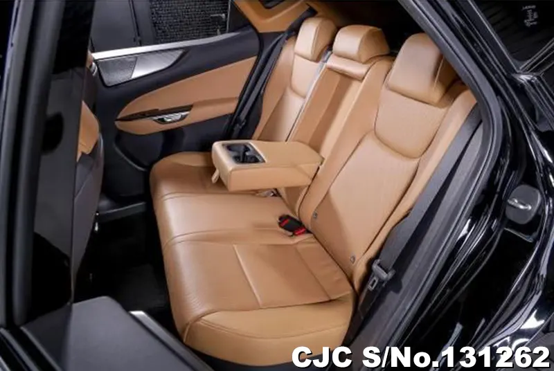 2025 Lexus / NX 350H Stock No. 131262