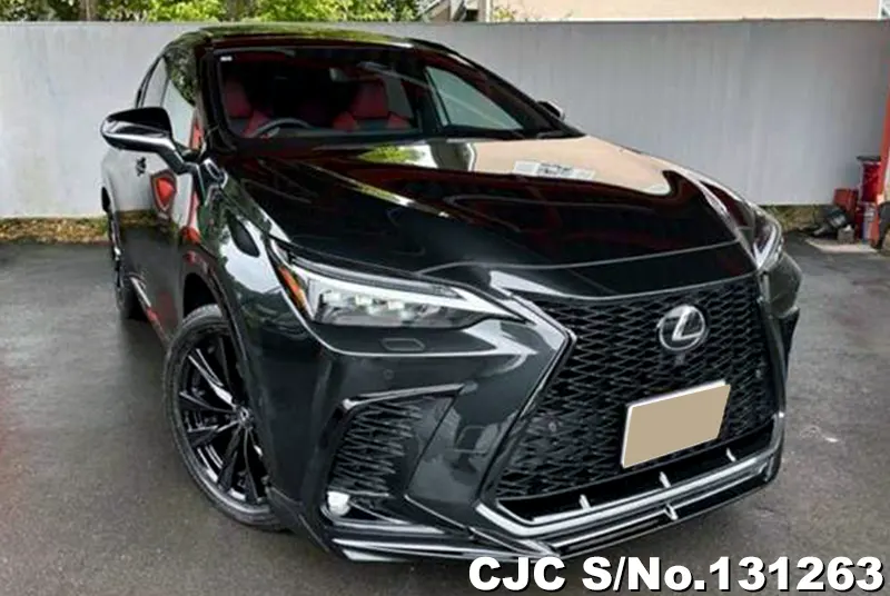 2025 Lexus / NX 450h Stock No. 131263