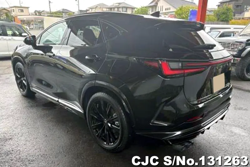 2025 Lexus / NX 450h Stock No. 131263