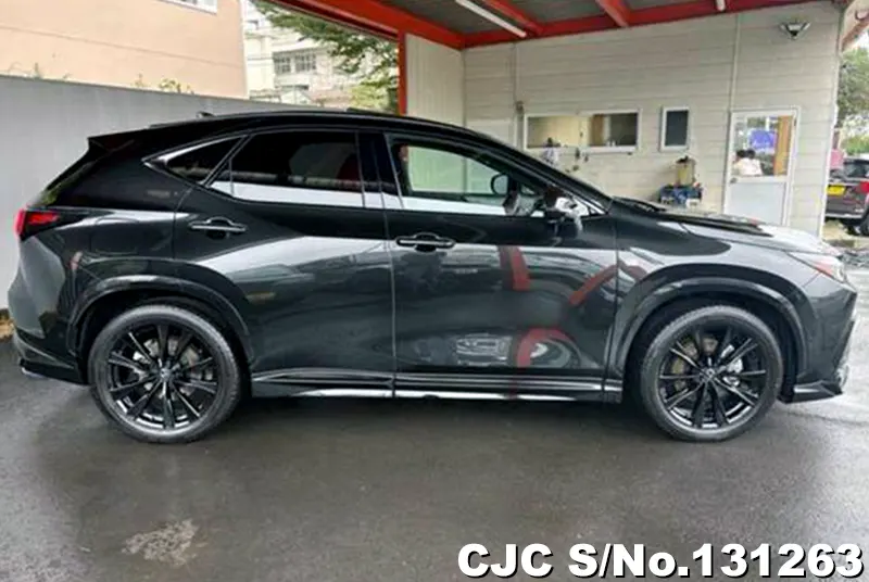2025 Lexus / NX 450h Stock No. 131263