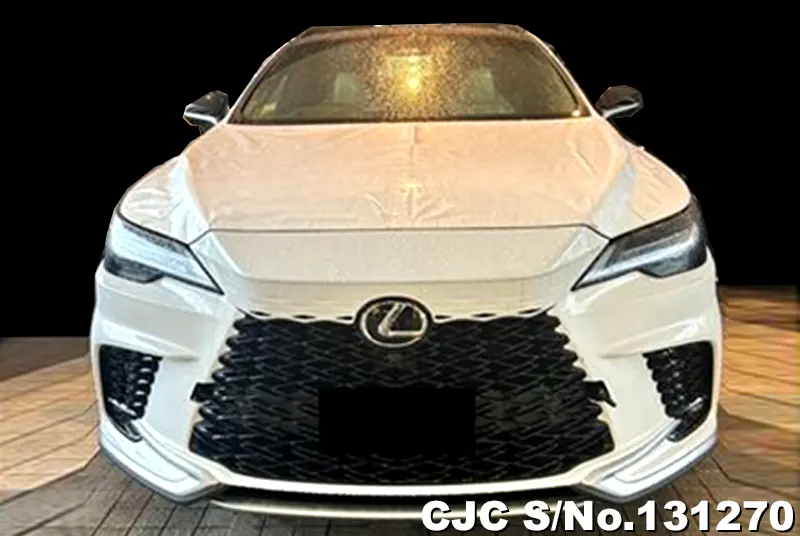2025 Lexus / RX 350 Stock No. 131270