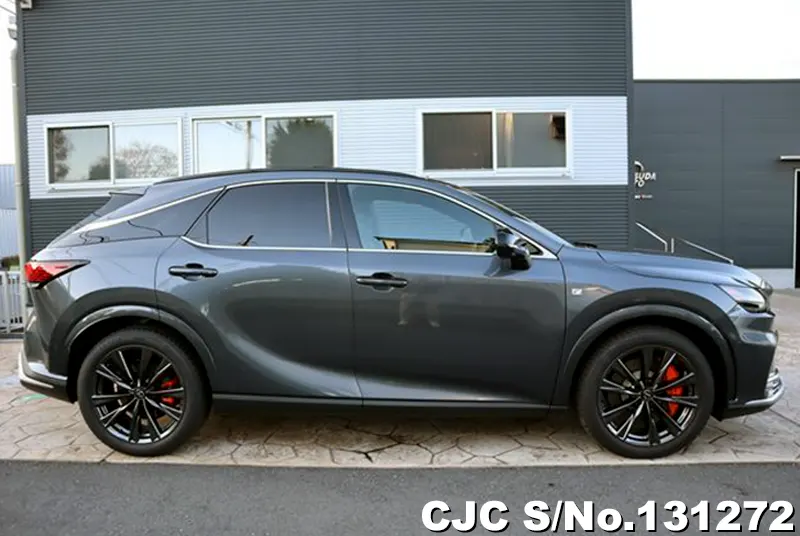 2025 Lexus / RX 350 Stock No. 131272