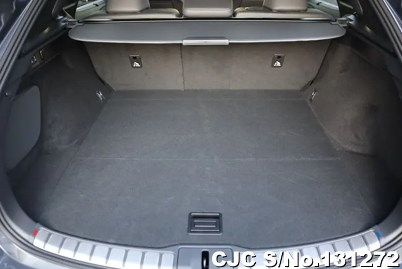 2025 Lexus / RX 350 Stock No. 131272