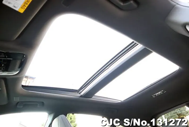 2025 Lexus / RX 350 Stock No. 131272