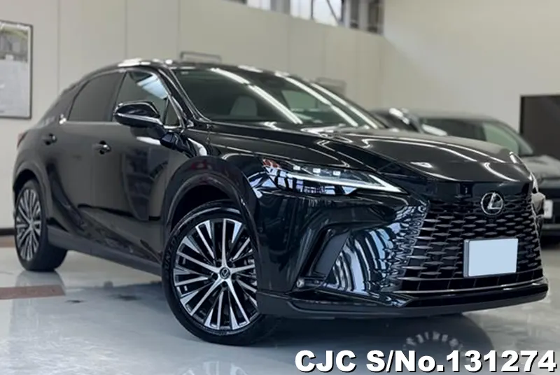 2025 Lexus / RX 350 Stock No. 131274
