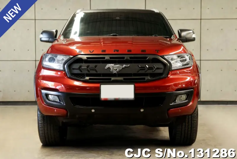 2019 Ford / Everest Stock No. 131286