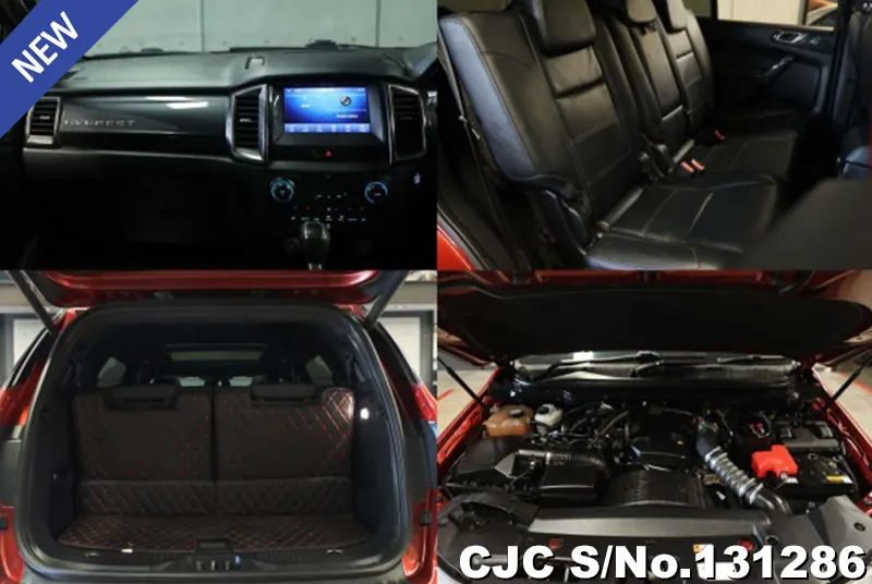 2019 Ford / Everest Stock No. 131286