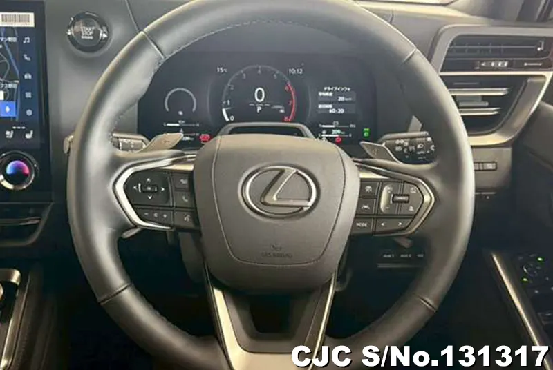 2025 Lexus / GX 550 Stock No. 131317