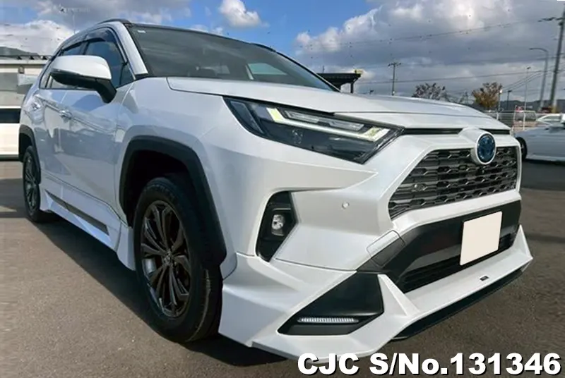 Toyota / Rav4 2023