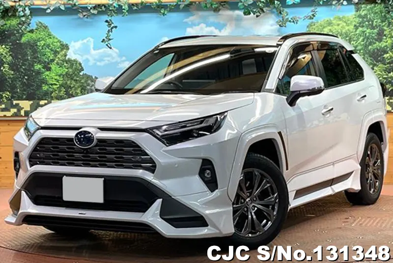 Toyota / Rav4 2023