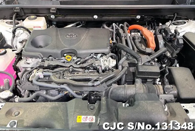 2023 Toyota / Rav4 Stock No. 131348