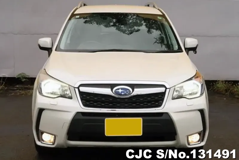 2014 Subaru / Forester Stock No. 131491
