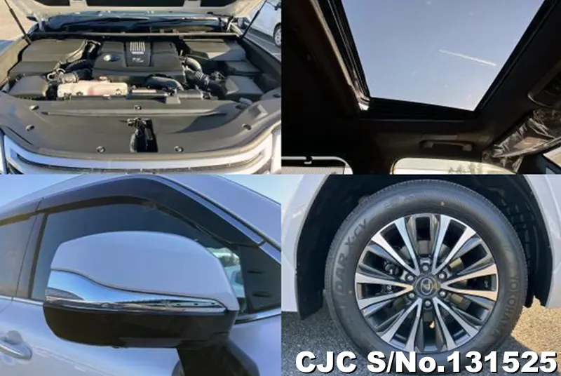 2025 Lexus / LX 600 Stock No. 131525