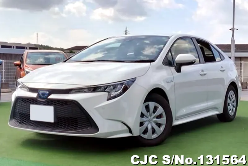 Toyota / Corolla 2020