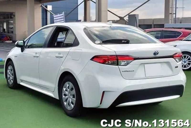 2020 Toyota / Corolla Stock No. 131564