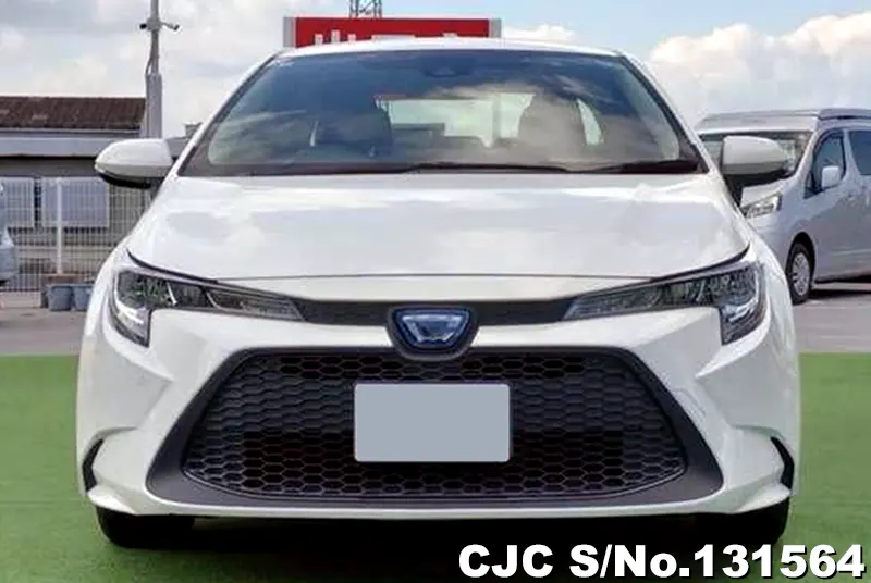 2020 Toyota / Corolla Stock No. 131564
