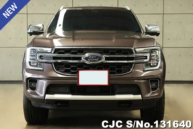 2022 Ford / Everest Stock No. 131640