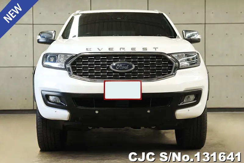2021 Ford / Everest Stock No. 131641