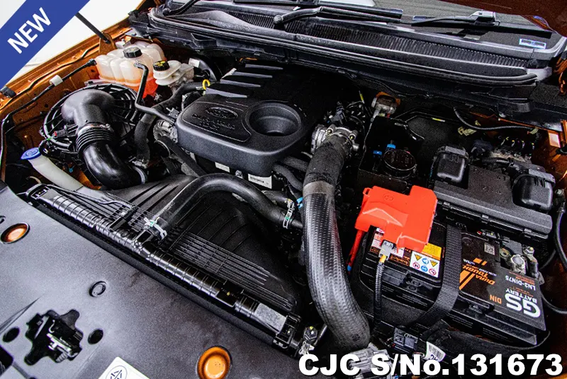 Ford Ranger in Orange for Sale Image 13